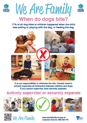 We are Family image of downloadable dog pamphlet 